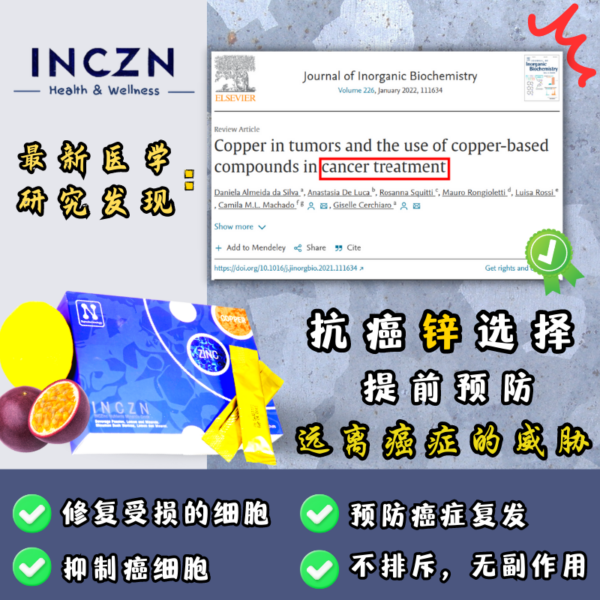 纳米锌铜离子 - Image 2